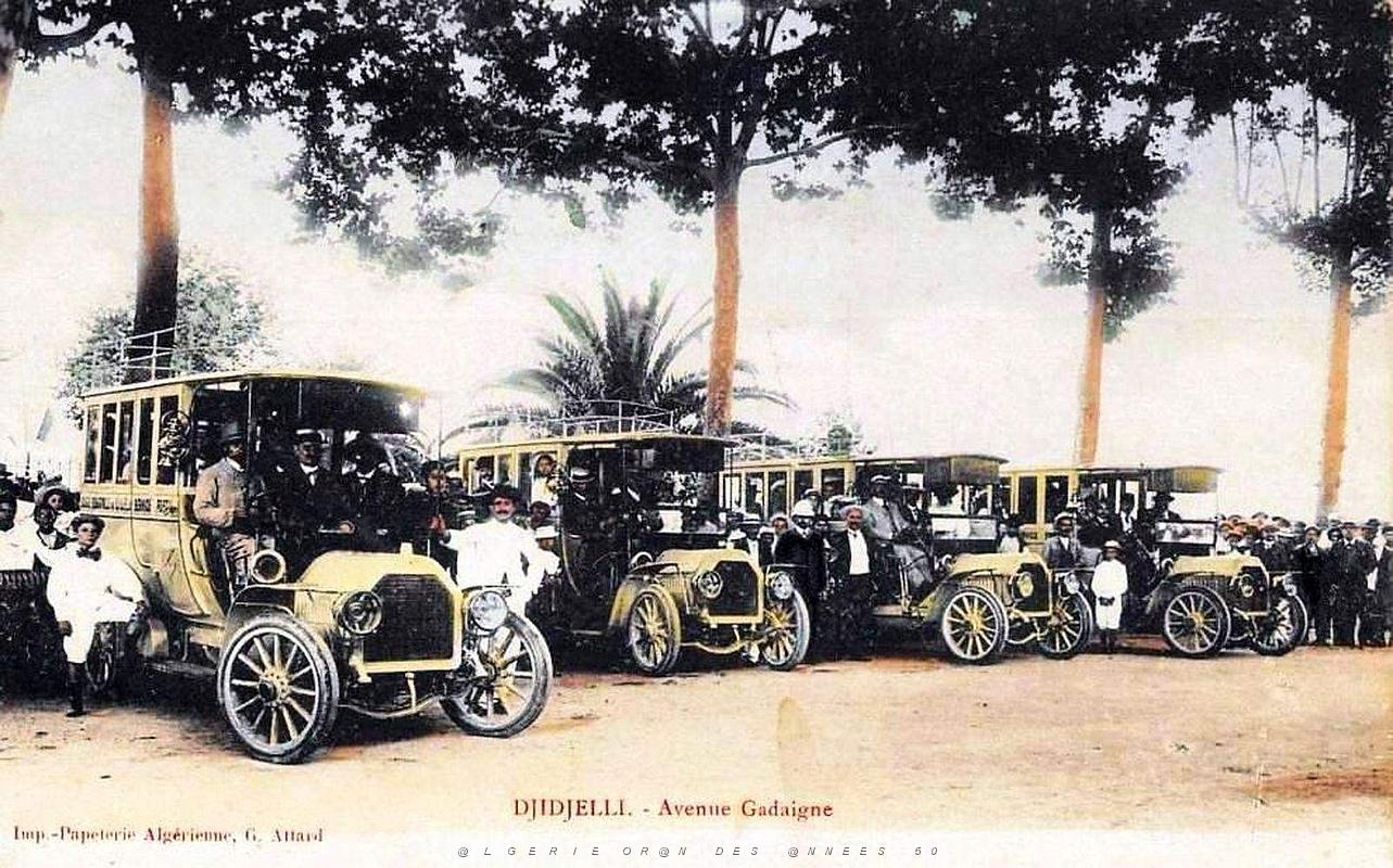 443- Djidjelli - Avenue Gadaigne.jpg